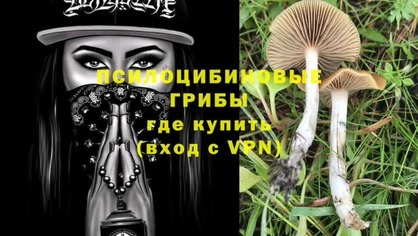 мескалин Богородицк