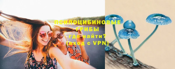 мескалин Богородицк