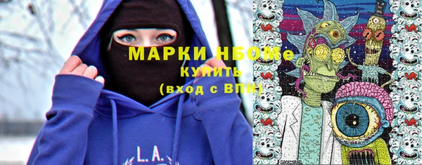 гашик Богородск