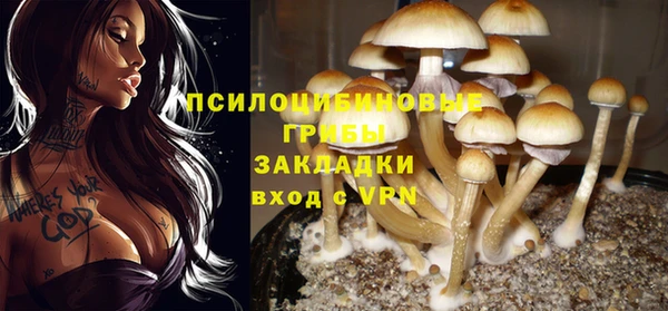 мескалин Богородицк