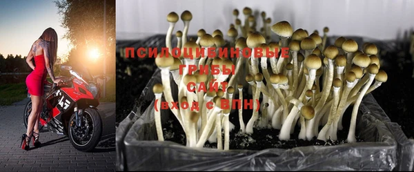 jwh Богданович