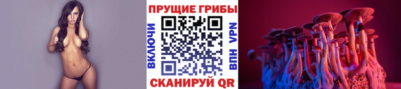 Псилоцибиновые грибы мицелий  Пятигорск 