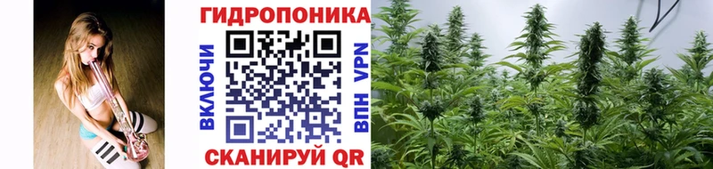 Канабис сатива  где купить наркотик  Пятигорск 